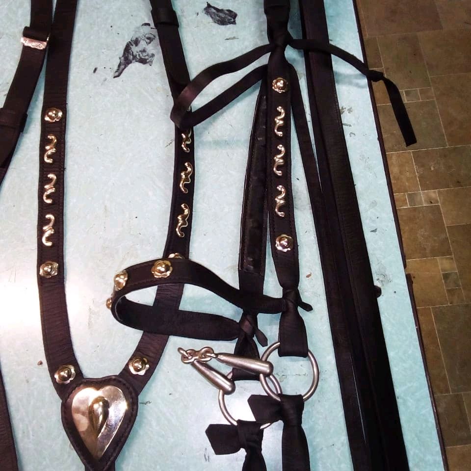 Комплект сбруи