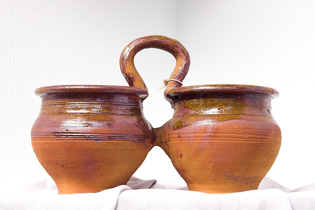 Сосуды-двойнята 